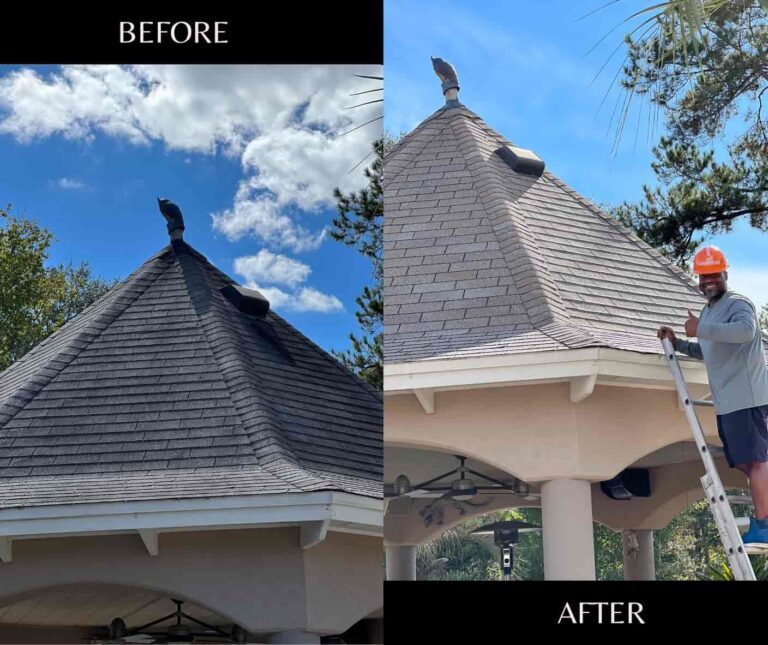 Roof Cleaning -min